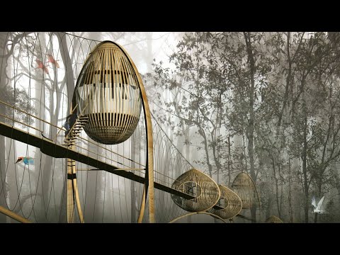 Studioteka Design, LLC video.