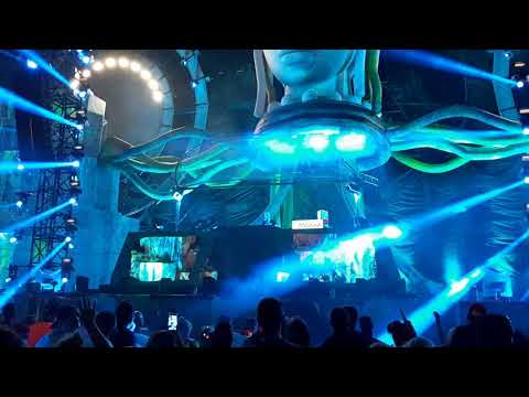 Sunrise Festival 2019 - CJ Stone