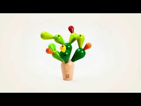 Plan Balancing Cactus
