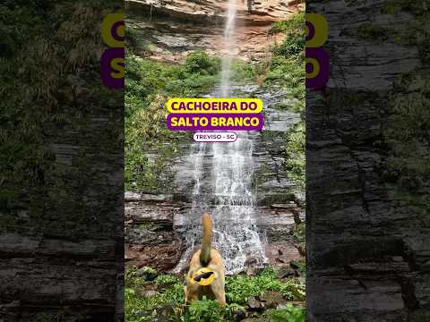 😱MAIOR cachoeira de *TREVISO* #cachoeirasaltobranco