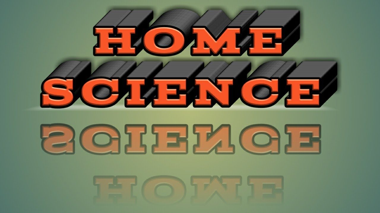 Class 12 Home Science Care and Maintenance of Fabrics in Institutions Part 2 English CBSE