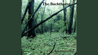 America The Beautiful