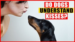 Do Dogs Understand Hugs and Kisses?