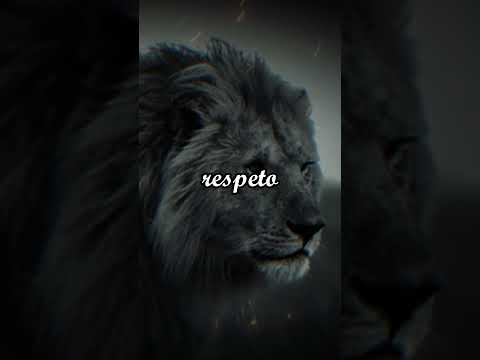 Descubre cómo adoptar el comportamiento audaz de un león