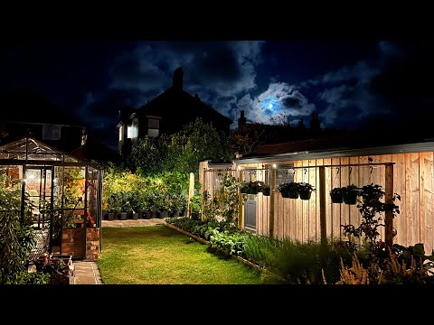November Kitchen Garden Tour: Cold-Hardy Edibles Thrive