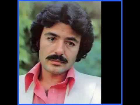 Ferdi Tayfur - Ben Seni Öyle Sevdim