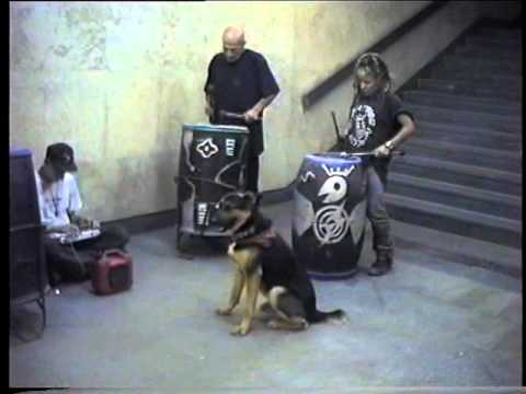 Buskin' in Prague by Spiral Tribe and Mutoid Waste1994