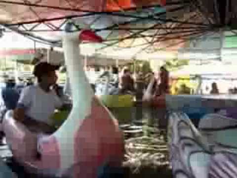 Parque Municipal de Belo Horizonte com Beatriz Quintela