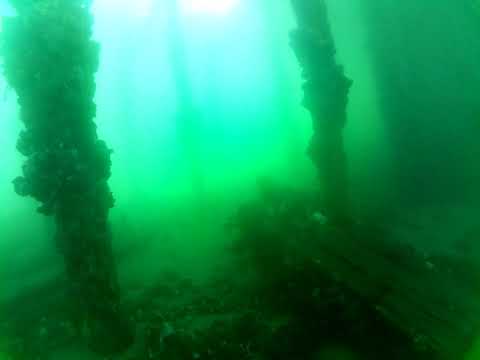 Edithburgh Live by AusOcean 18/02/2023