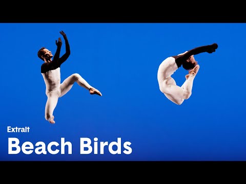 Beach Birds - Extrait