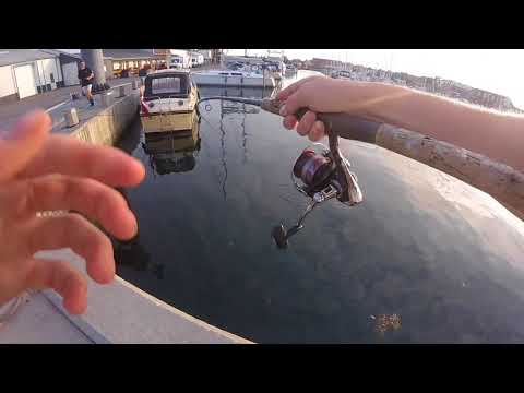 Makrel fiskeri med let grej!