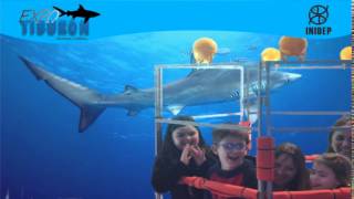 DIA 3 Expo Tiburon75