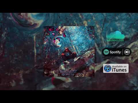 own dialect - baby don't trip