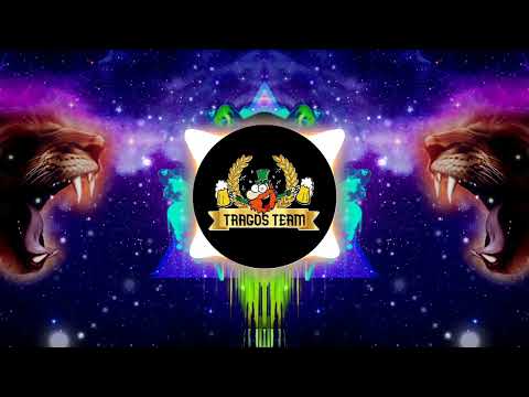 Tragosteam -Sean Paul - She Doesn't Mind (NORTKASH x BROHM & OSIS Remix)