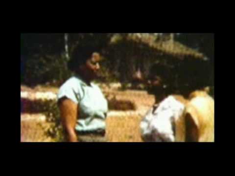 The Dondi Project Vol1 (10min)