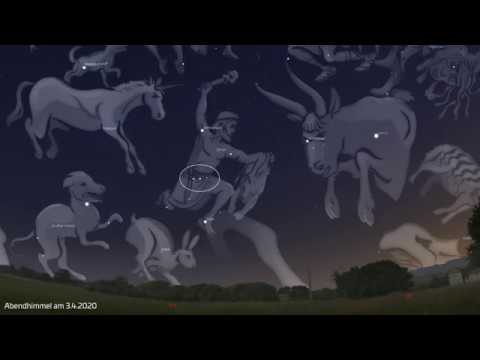 Sternstunden: Venus wandert durch die Plejaden