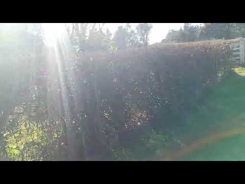 Casa de campo A LA VENTA en ramón Santamarina 1,5 hectáreas (LEER DESCRIPCION)