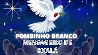 PONTO DE OXAL - POMBINHO BRANCO MENSAGEIRO DE OXAL