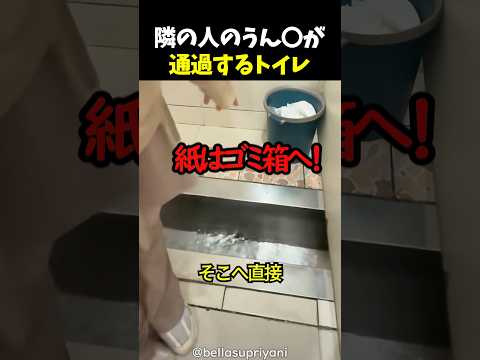 隣の人のうん〇が通過するトイレ
