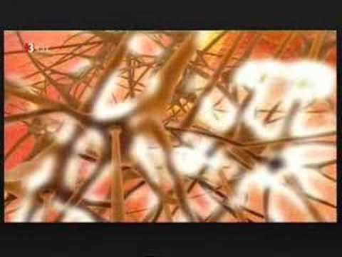 Komplexitätstheorie 3