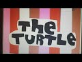 No Neck Joe The Turtle