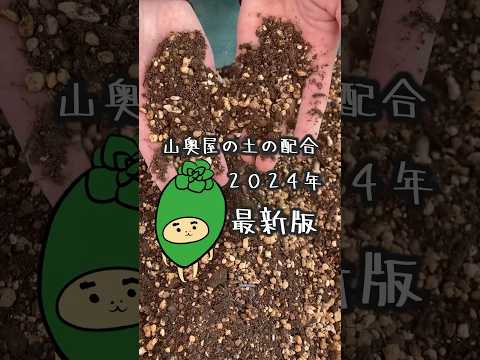 2022年トップ5の開花多肉植物エキノプシス