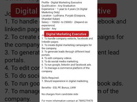 Digital Marketing Executive Job in Ludhiana #jobs #ludhiana