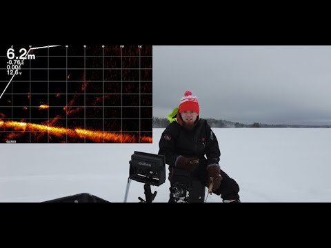 Löytyykö kuhaa livescopella?