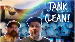 Reef Maintenance Vlog 2 - Red Sea Predator & 180 gallon Custom Mixed Reef #StayHome & Reef #WithMe