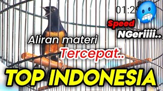 Download lagu MURAI TOP INDONESIA ‼️ LAMBADA REBORN DAPAT MOBIL DAN MOTOR DI JEMBER mp3 Download lagu MURAI TOP INDONESIA ‼️ LAMBADA REBORN DAPAT MOBIL DAN MOTOR DI JEMBER mp3