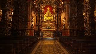 CATOLICOS CREAN CAMPAÑA EN BRASIL COMPARANDO A LOS EVANGELICOS CON EL HIJO PRODIGO!!!!