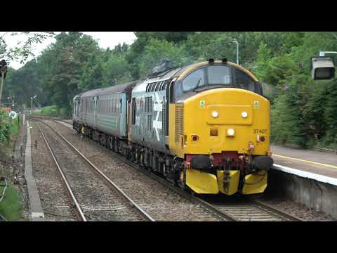 CLASS 37's Passenger service on The Wherry Lines  (NORFOLK)  27/07/2019