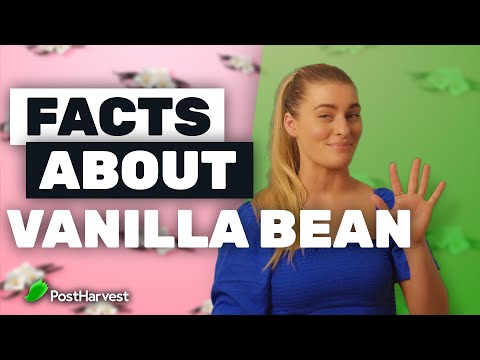 Fakten über Vanilleschoten