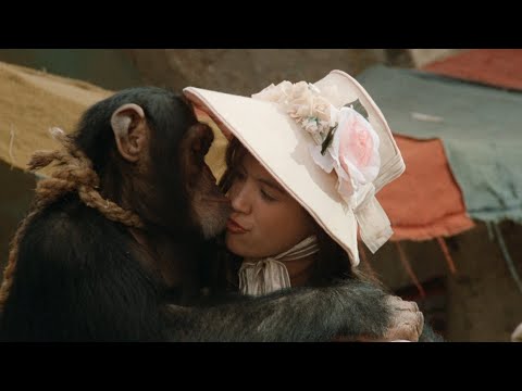 Phoebe Cates 1982 Kisses hugs a chimpanzee