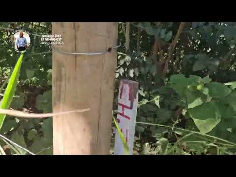 Chácaras  3 hectares no Lago Corumbá IV em Alexânia Goiás 