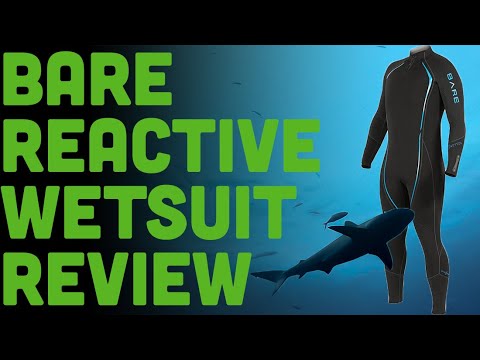 Bare Wetsuits