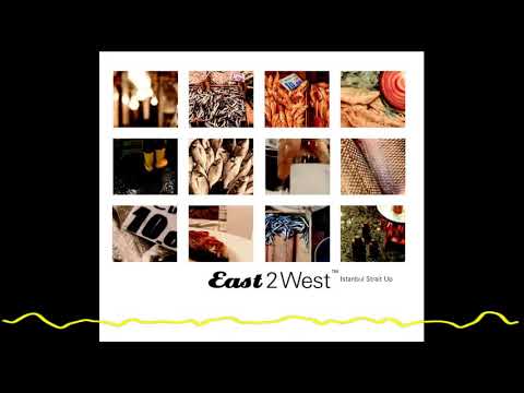Orient Expressions feat Aynur Doğan(remix by Pressure Drop) (East 2 West: Istanbul, Flight 003-2005)