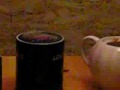 прикол. девушки с похмелья 