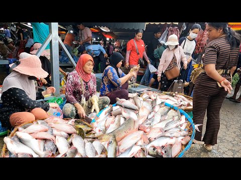 Cambodian People Daily Life Activities & Food Market Scenes - Amazing People Lifestyle in the Market