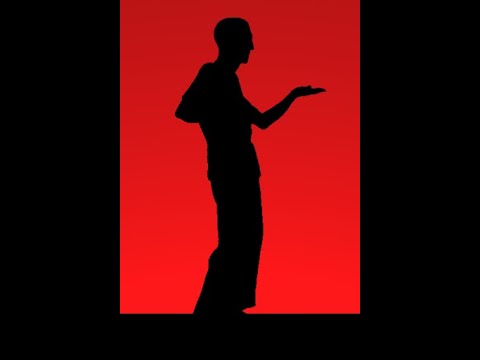 Siu Nim Tao - Prima Forma Wing Chun WSL