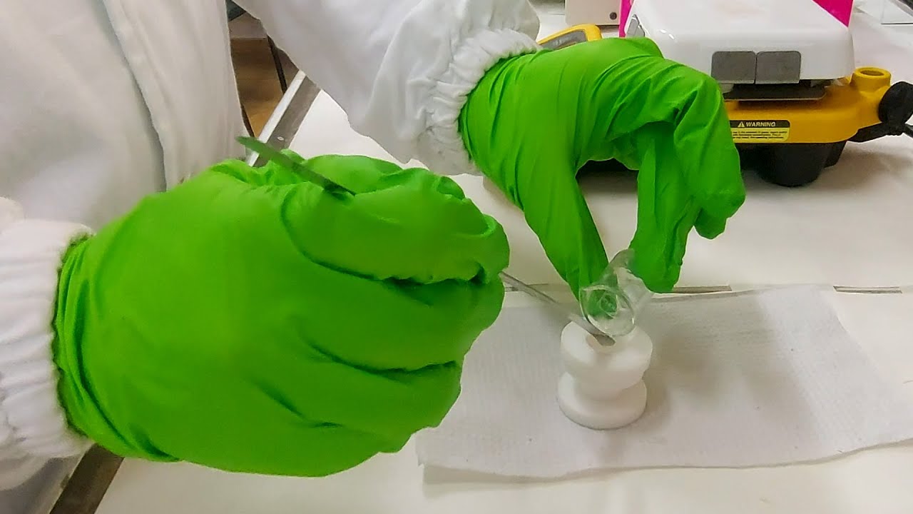 Ciência SP | Colágeno e açúcar de algas para a regeneração óssea