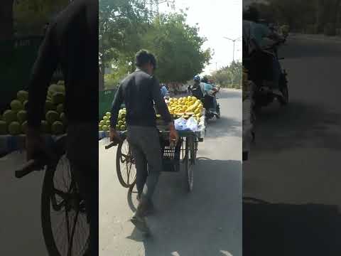 falo ka Raja aam#meetha meetha aam#Sort#