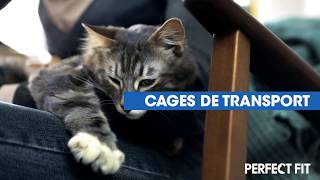 VIDEO pour la marque Perfect Fit: comment occuper son chat d'intérieur? Comment habituer son cha