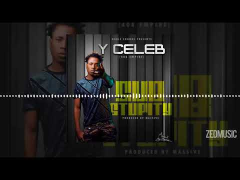 Y Celeb (408 Empire) - Sub Stupity (Official Audio) || #ZedMusic