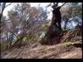 Unicycle Crash