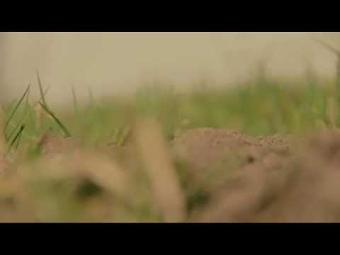 Wiosna. Gospodarstwo Agroturystyczne Kurza Stopa