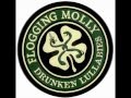 flogging molly-drunken lullabies lyrics HD