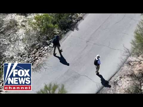 'EXTREME AMOUNT OF EFFORT': Inside efforts to find Nancy Guthrie