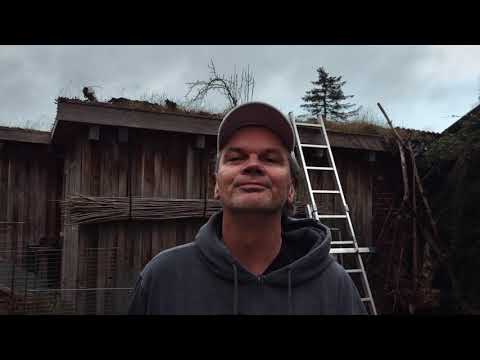 Motorola Moto G 5G | Testvideo in 4K mit 30 bps