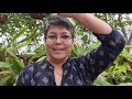 Back To Roots | Poornima Savargaonkar | TEDxVivekanandSchool